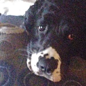 Meet your Posher, Patrick